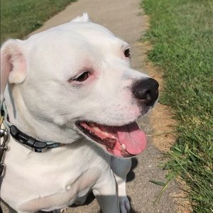 Meet your Posher, Paula